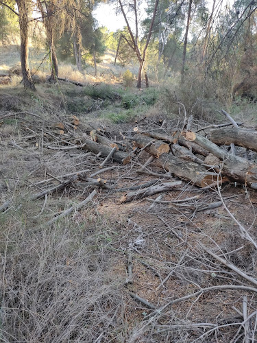 Sendero de los Cipreses