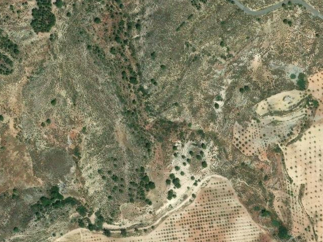 Barranco del Pino