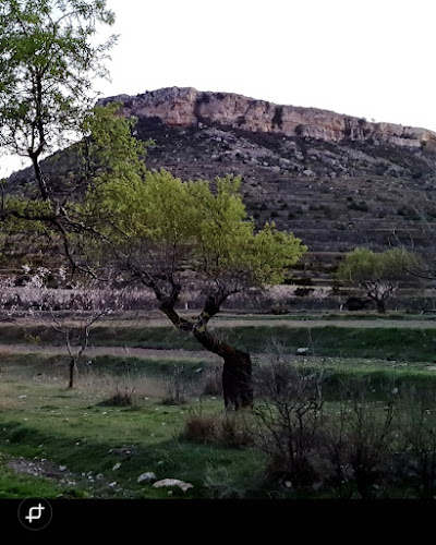 Molata de Charan