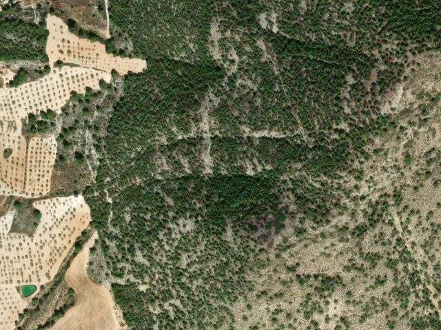 Cerro de las Burras