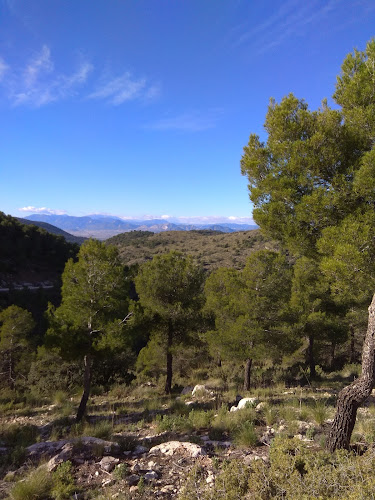 Rambla del Cargador