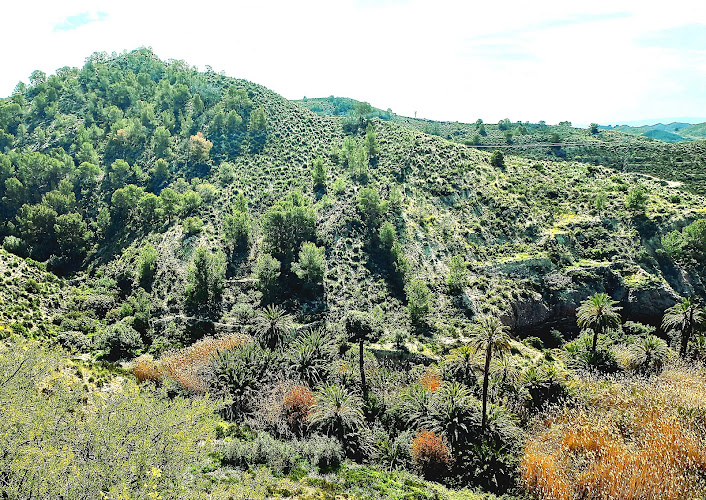Mirador "La Loma"