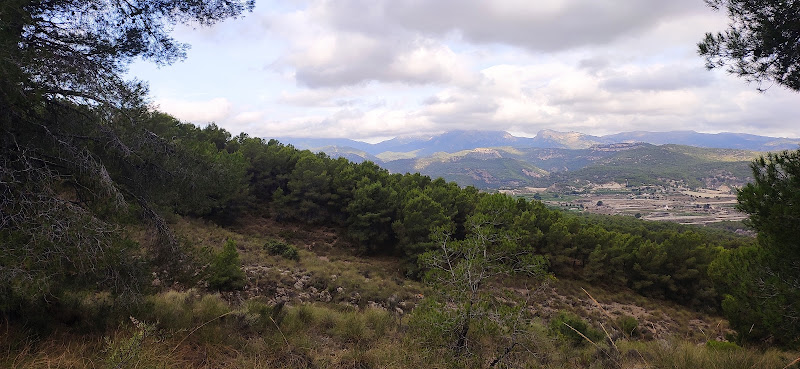 Camino de la Umbría