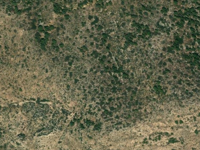 Cerro de las Cabras