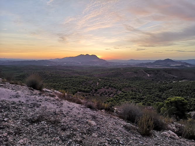 Torre de Vigilancia