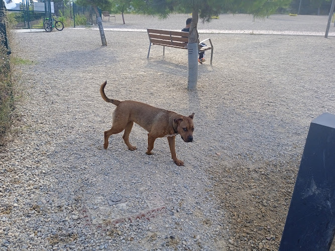 Zona ZECA - Parque canino
