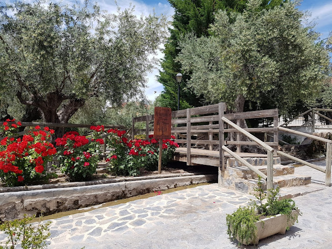 Parque Los Olivos