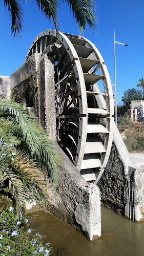 Rueda de la Ñora