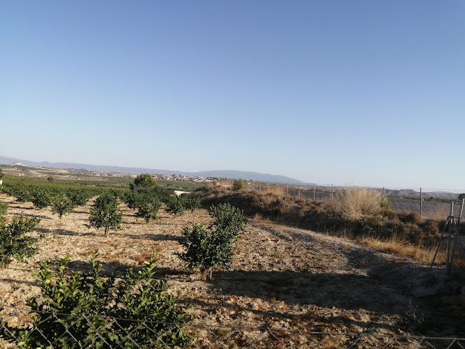 Ruta Los Rodeos-Trasvase