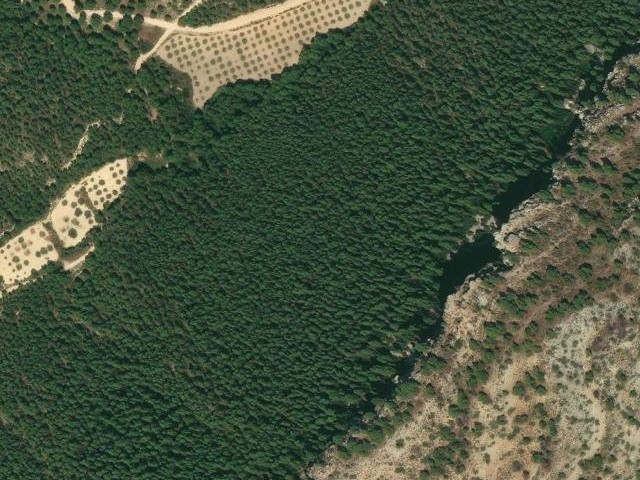Cerro de Palomeque