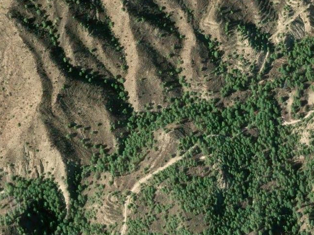 Barranco de los Garres