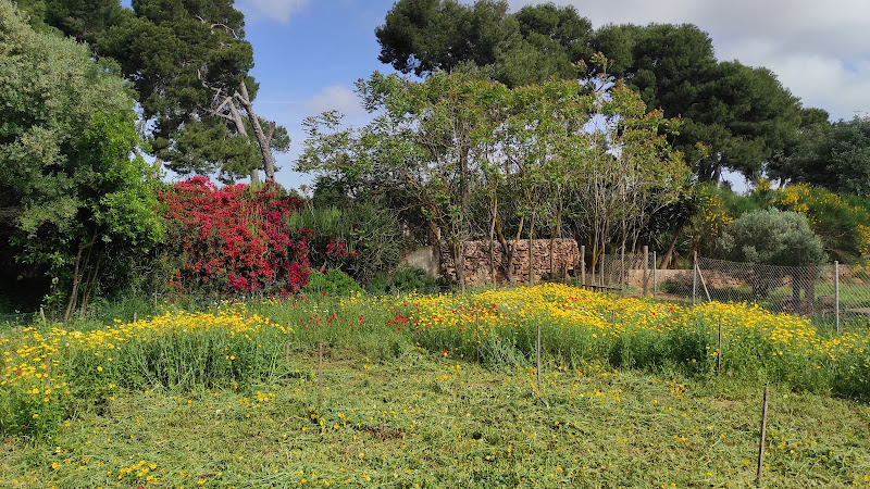 Parque Ambiental de Huerto Pío