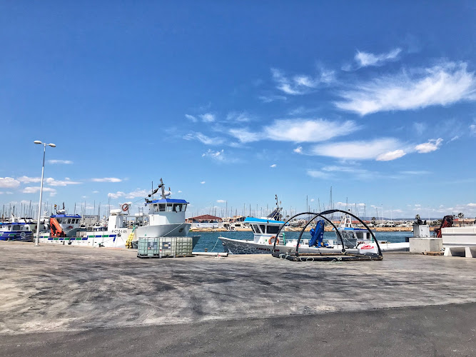 Puerto San Pedro