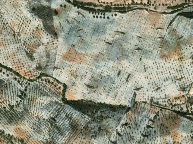 Lomas de Nogalte