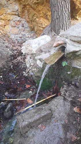 Fuente del Cañar