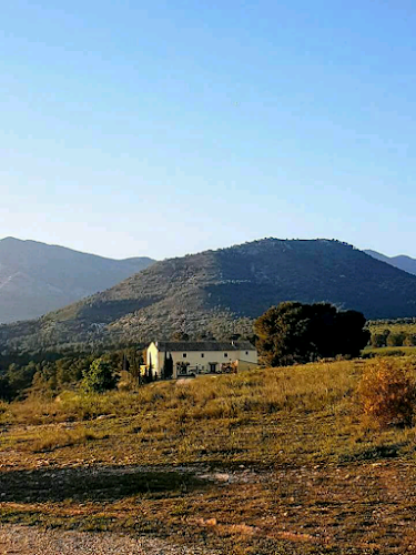 Rambla de Zarzadilla de Totana