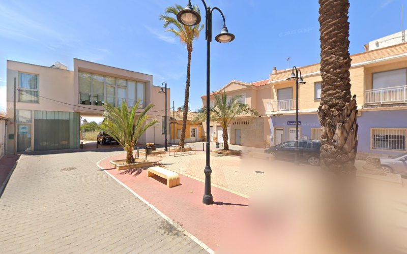 Palmera de los 13 brazos