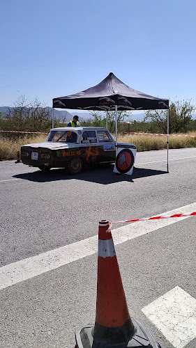 Rally de Zarcilla de Ramos