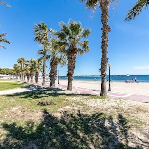 Palmeral