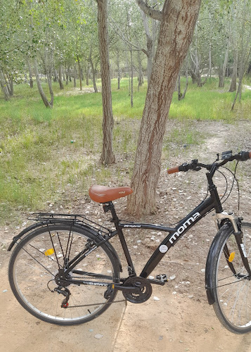 Bosque de Ribera de la Alameda