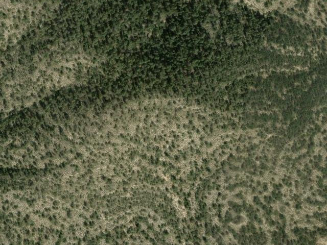 Sierra de los Gavilanes