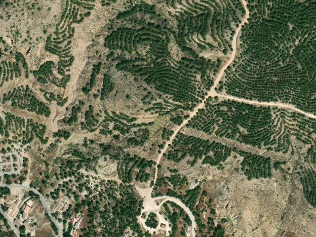 Paraje el Caracolico