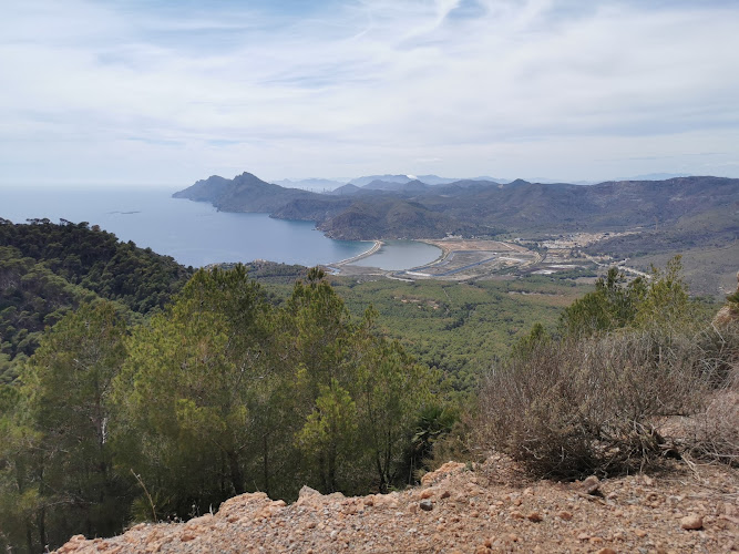 Mirador del Monte de las Cenizas