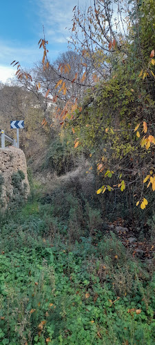 Fuente del Fresne