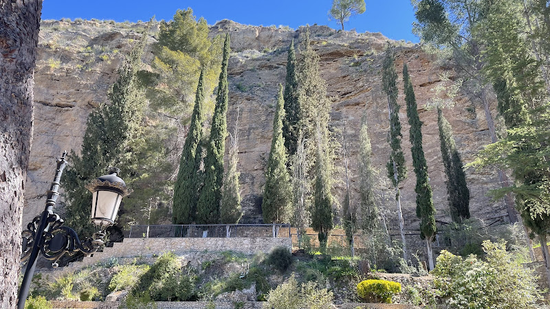 Sotos y Bosques de Ribera de Cañaverosa