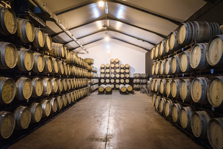 Bodegas Carchelo