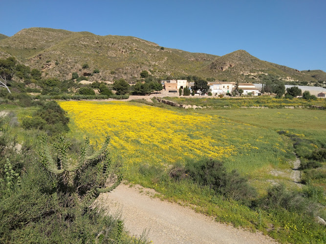 Campo de los Sueños