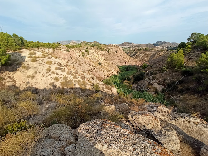 Senda del Sarraceno