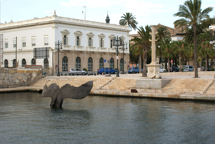 Cola de ballena