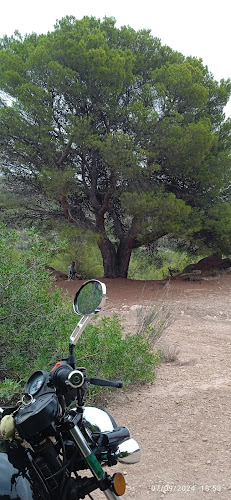 Fuente del Madroño de Abajo
