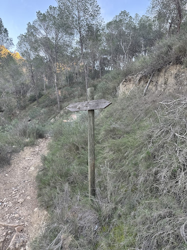 Desafío Cimas de Blanca Trail