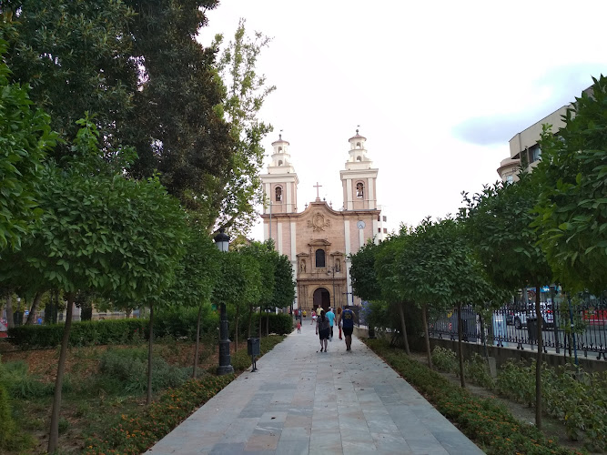 Parques y Jardines
