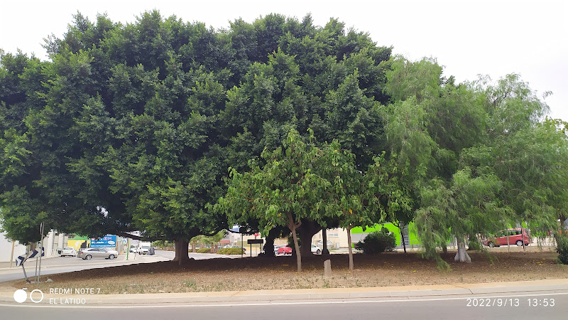 La Rotonda Cabezo Beaza