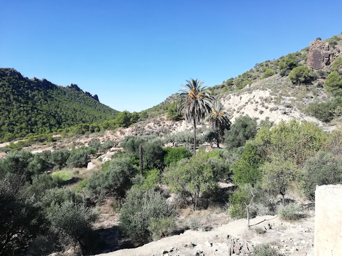 Barranco de la Viñica
