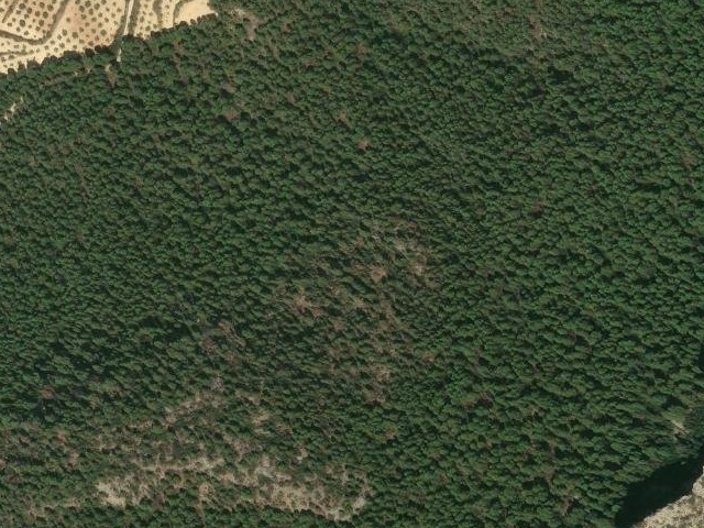 Risco del Portillo