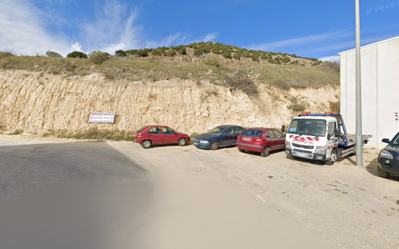 Cabezo de Baza/Monte los Palmitos
