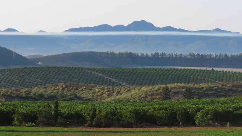 Vía Verde Almendricos - Huércal-Overa