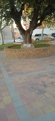Plaza Pedro Zerolo
