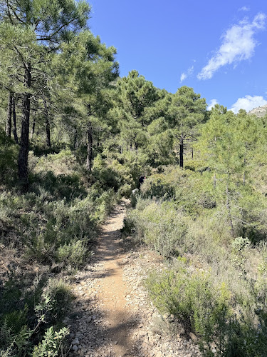Camino de las Balsicas