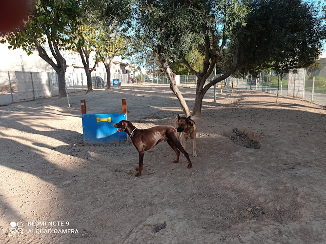 Parque Canino
