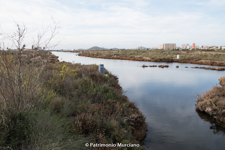 Salinas de Marchamalo