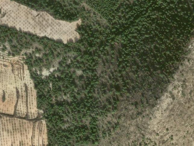 Cerro de la Atalaya