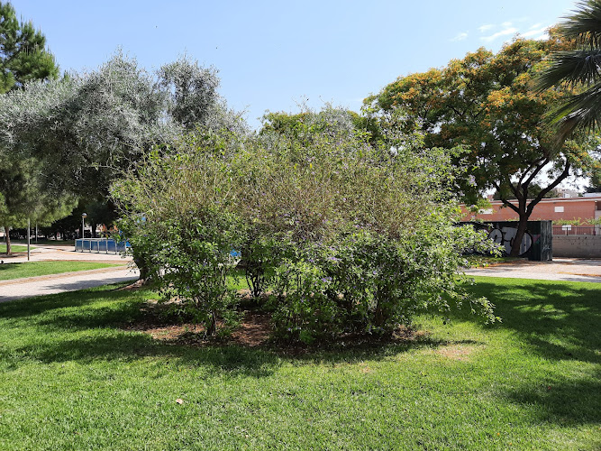 Jardín Bendame Menor