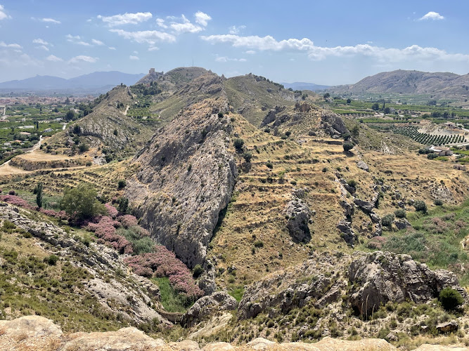 Mirador el Cigarralejo