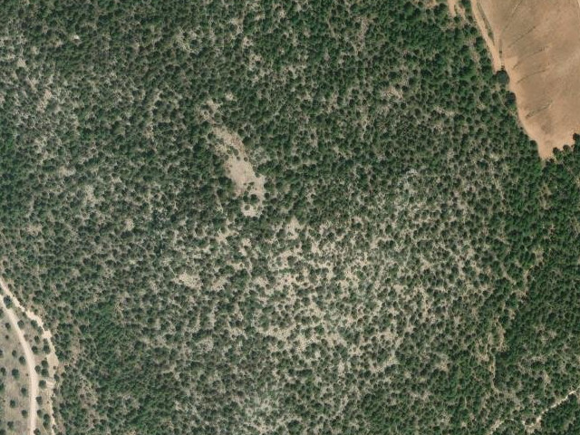 Cerro Mojón