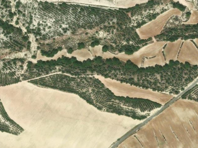 Cañada de Roque